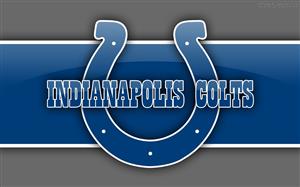 2006 NFL Champions