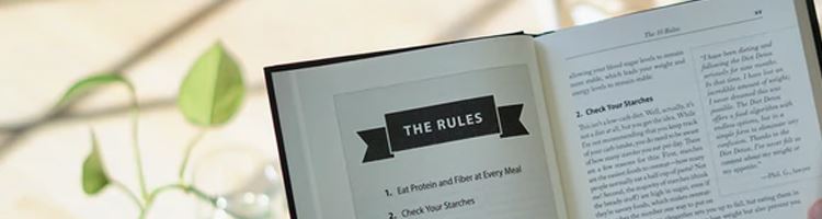 Please download and review our SCA bylaws.