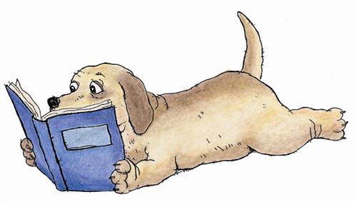 Dog reading 